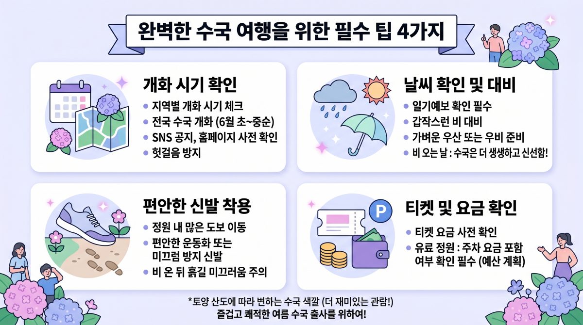 수국 여행 준비 팁 인포그래픽