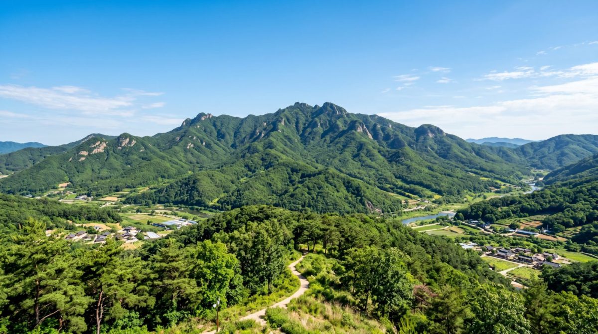 여름 햇살 아래 짙은 초록으로 물든 경주 남산의 풍경